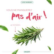 ✨ Le romarin ✨

Connu pour ses propriétés expectorantes et antiseptiques, le romarin est un précieux allié pour les voies respiratoires. Ses composés actifs, comme le camphre et l'eucalyptol, aident à dégager les bronches, fluidifier le mucus et faciliter son expulsion, soulageant ainsi congestions et toux. 😷
Utilisé en infusion, inhalation ou huile essentielle, il combat efficacement les affections respiratoires comme le rhume ou la bronchite. 🫁

Retrouvez l'huile essentielle de romarin dans les gélules Nez-Gorge OLIOSEPTIL® ! 💚

#olioseptil #conseil # romarin #automne #rhume #sante #forme #vitalite #santedurable #huileessentielle #astuce #ineldea #laboratoireineldea #pharmacie #gorgeapaisée #respirationsaine #bronchite