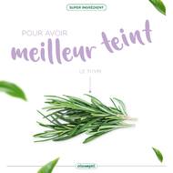 🌿 Le Thym : une plante aux mille vertus 🌿

Depuis l’antiquité, le thym est utilisé pour ses incroyables bienfaits sur notre santé ! Originaire du bassin méditerranéen, il était déjà prisé par les Grecs et les Romains pour ses vertus purifiantes et apaisantes. ✨

Aujourd’hui, le thym est un allié précieux pour notre organisme : 
👉 Il est connu pour apaiser les maux de gorge et soulager les voies respiratoires.
👉 Il contribue au renforcement du système immunitaire.
👉 Il favorise la digestion et le soulagement des ballonnements.

En infusion, en huile essentielle ou en cuisine, le thym est une petite merveille ! 😍

Retrouvez-le dans le Sirop et les Pastilles Gorge-Larynx OLIOSEPTIL® ! 🌱

#thym #olioseptil #conseil #immunité #automne #rhume #sante #forme #vitalite #santedurable #huileessentielle #astuce #ineldea #laboratoireineldea #pharmacie #gorgeapaisée #respirationsaine